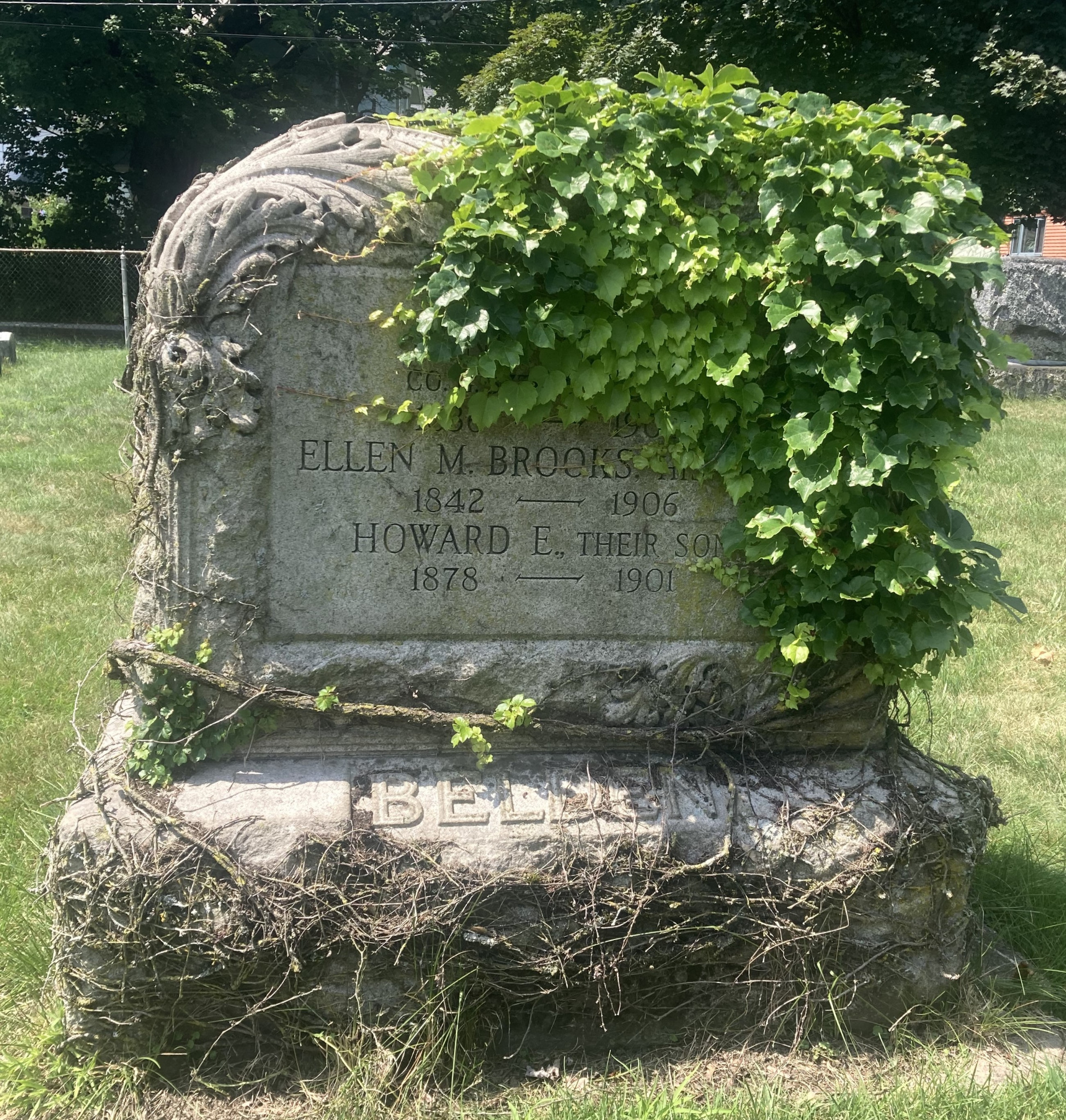 Historic family headstone partially covered by vegetation